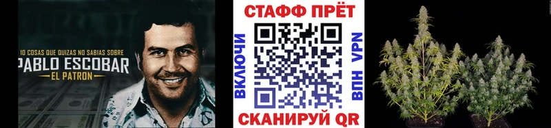 Как найти закладки Судогда Кодеин  Галлюциногенные грибы  А ПВП  Гашиш  АМФ 