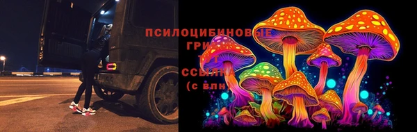 спайс Гусь-Хрустальный